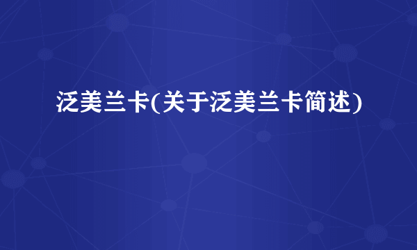 泛美兰卡(关于泛美兰卡简述)
