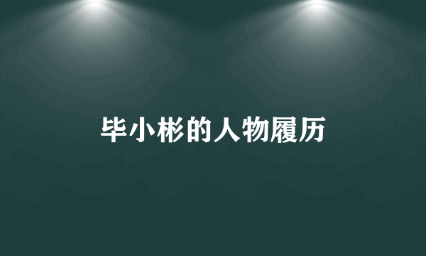 毕小彬的人物履历