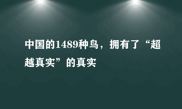 中国的1489种鸟，拥有了“超越真实”的真实
