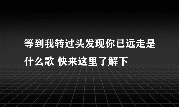 等到我转过头发现你已远走是什么歌 快来这里了解下