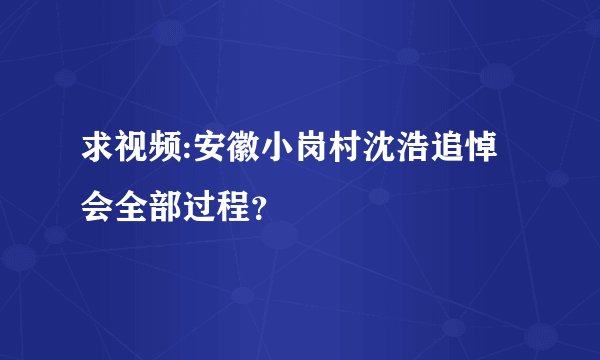 求视频:安徽小岗村沈浩追悼会全部过程？