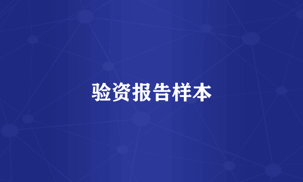 验资报告样本