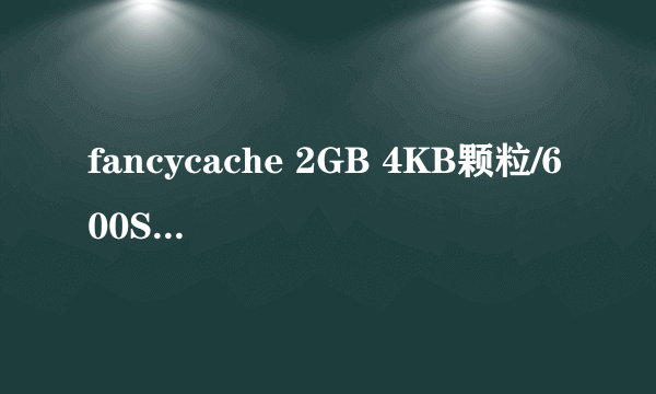 fancycache 2GB 4KB颗粒/600S延写+RAMdisk 1GB 缓存各种浏览器..系统TEMP..WINRAR后..
