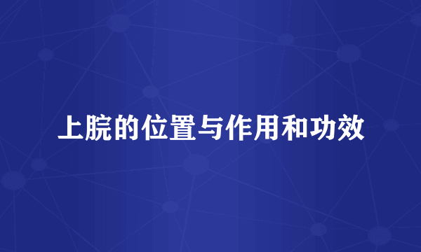 上脘的位置与作用和功效