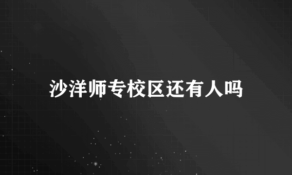 沙洋师专校区还有人吗