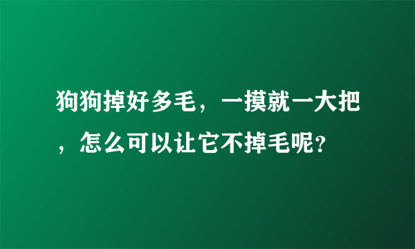 狗狗掉好多毛，一摸就一大把，怎么可以让它不掉毛呢？