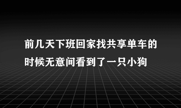 前几天下班回家找共享单车的时候无意间看到了一只小狗