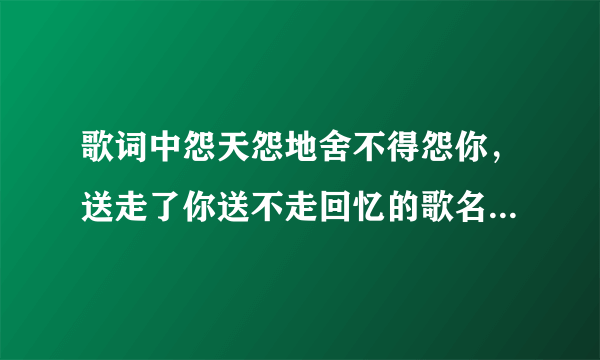 歌词中怨天怨地舍不得怨你，送走了你送不走回忆的歌名叫什么？