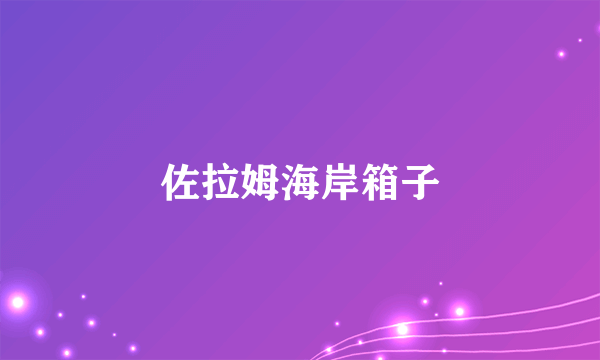 佐拉姆海岸箱子
