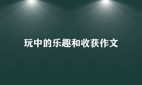 玩中的乐趣和收获作文