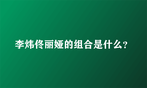 李炜佟丽娅的组合是什么？