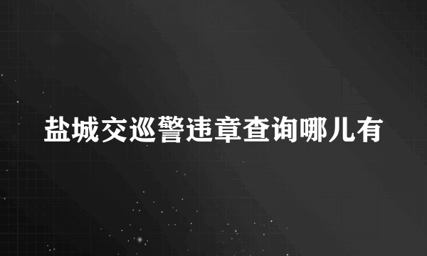 盐城交巡警违章查询哪儿有