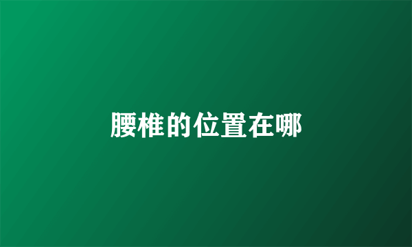 腰椎的位置在哪