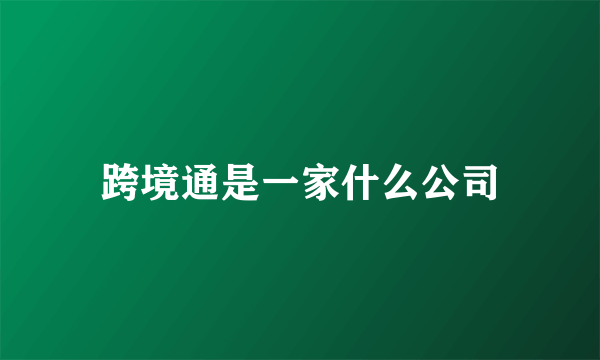 跨境通是一家什么公司