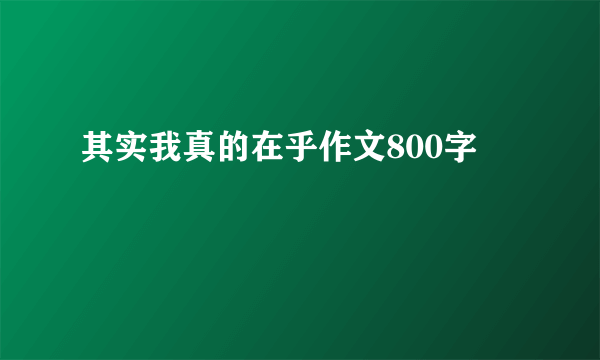 其实我真的在乎作文800字