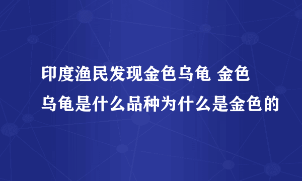 印度渔民发现金色乌龟 金色乌龟是什么品种为什么是金色的