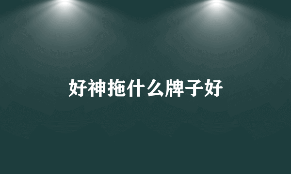 好神拖什么牌子好