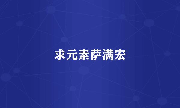 求元素萨满宏