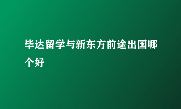 毕达留学与新东方前途出国哪个好