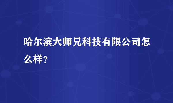 哈尔滨大师兄科技有限公司怎么样？