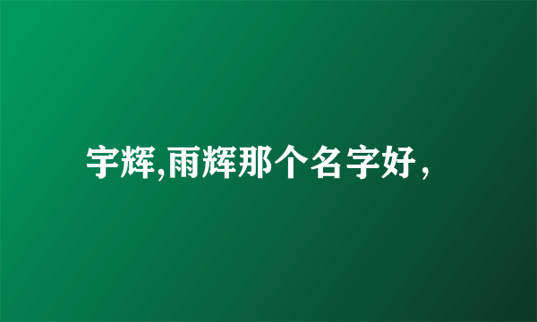 宇辉,雨辉那个名字好，