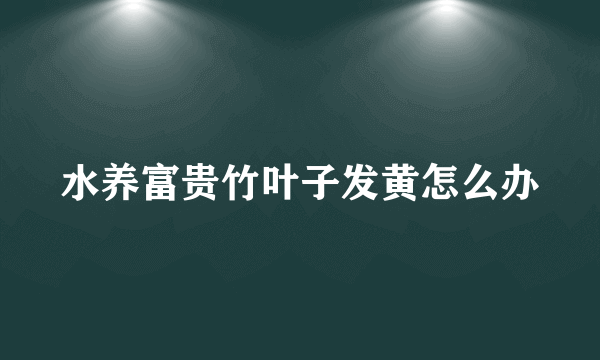 水养富贵竹叶子发黄怎么办