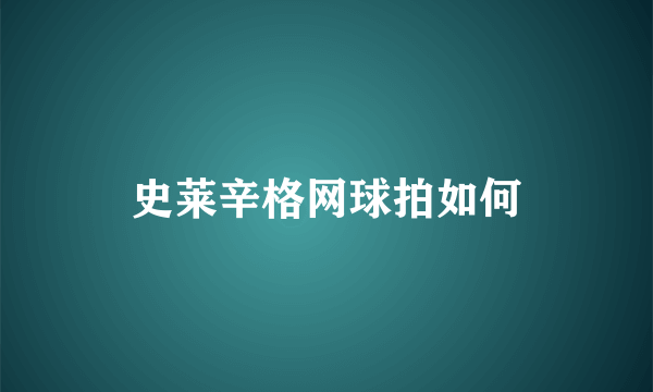 史莱辛格网球拍如何