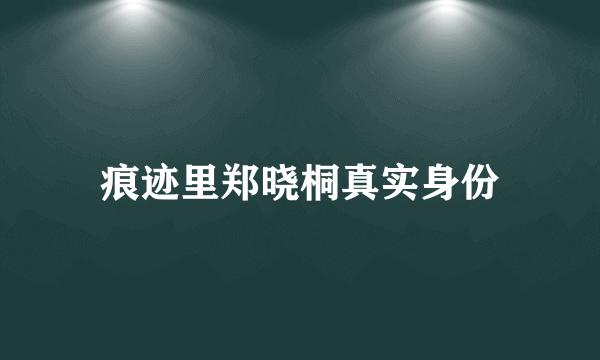 痕迹里郑晓桐真实身份