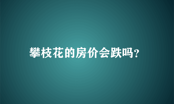 攀枝花的房价会跌吗？
