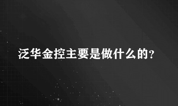 泛华金控主要是做什么的？