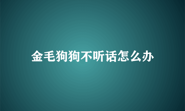 金毛狗狗不听话怎么办