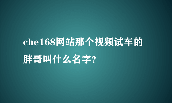 che168网站那个视频试车的胖哥叫什么名字？