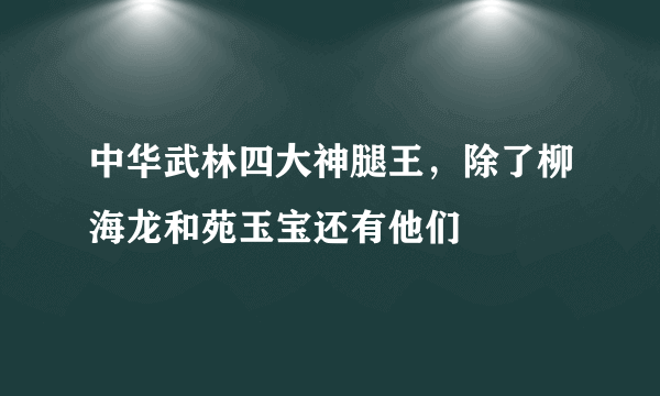 中华武林四大神腿王，除了柳海龙和苑玉宝还有他们