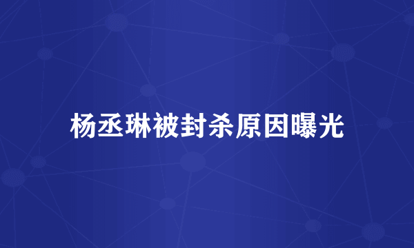 杨丞琳被封杀原因曝光