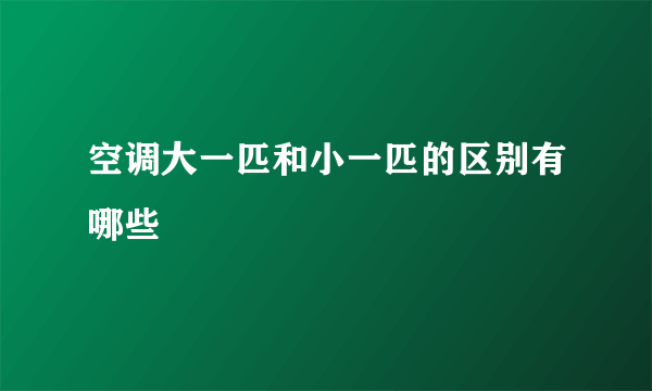 空调大一匹和小一匹的区别有哪些