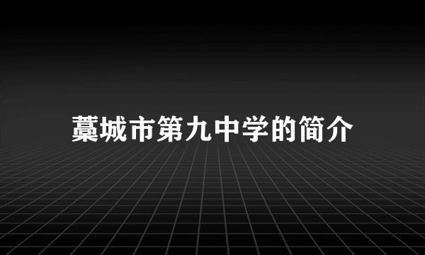 藁城市第九中学的简介