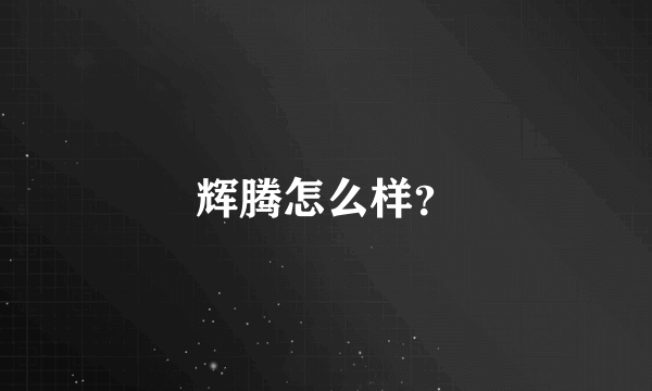 辉腾怎么样？
