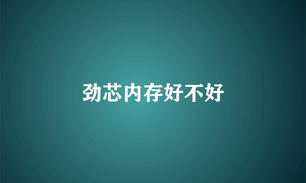 劲芯内存好不好