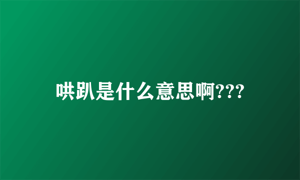 哄趴是什么意思啊???