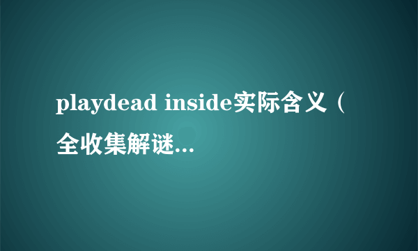 playdead inside实际含义（全收集解谜流程图文攻略）