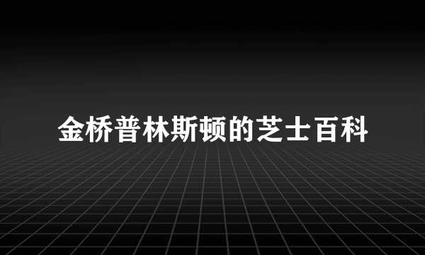 金桥普林斯顿的芝士百科