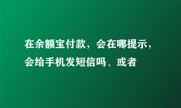 在余额宝付款，会在哪提示，会给手机发短信吗、或者
