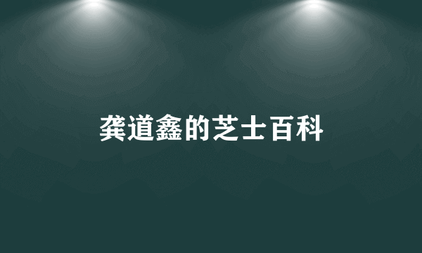 龚道鑫的芝士百科