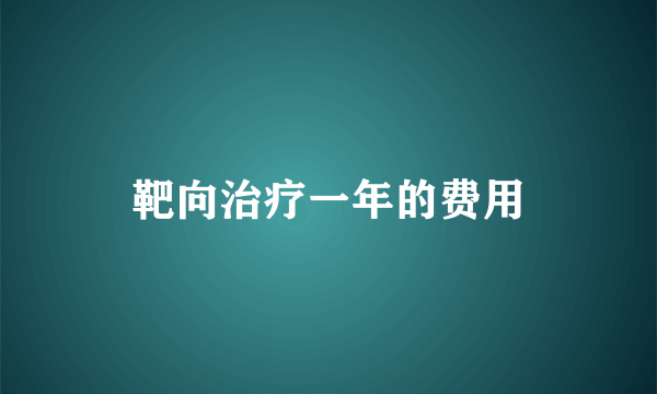 靶向治疗一年的费用