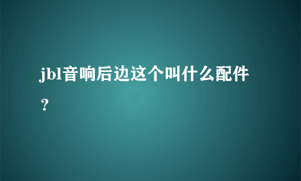 jbl音响后边这个叫什么配件？