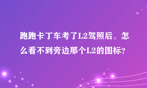跑跑卡丁车考了L2驾照后。怎么看不到旁边那个L2的图标？