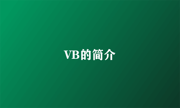 VB的简介