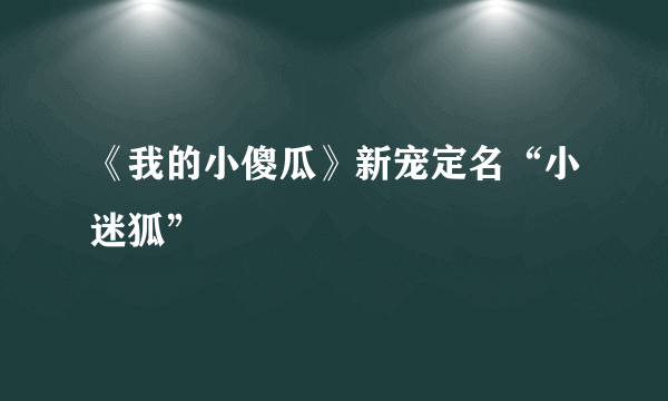 《我的小傻瓜》新宠定名“小迷狐”