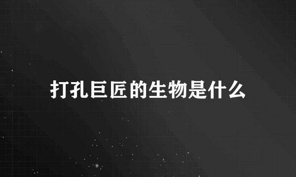打孔巨匠的生物是什么