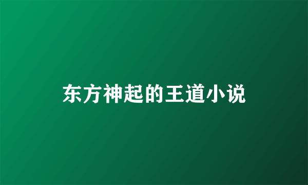东方神起的王道小说